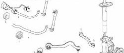 1 149 р. Полиуретановая втулка стабилизатора передней подвески Точка Опоры (I.D. = 24,6 мм) BMW 7 серия E65,E66, E67, E68 дорестайлинг, седан (2001-2005)  с доставкой в г. Краснодар. Увеличить фотографию 2