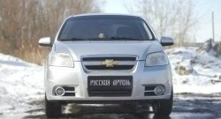 1 039 р. Защитная сетка решетки переднего бампера RA  Chevrolet Aveo  T250 (2006-2011) седан рестайлинг  с доставкой в г. Краснодар. Увеличить фотографию 3