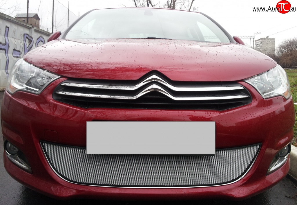 1 539 р. Сетка на бампер (хетчбек) Russtal (хром)  CITROEN C4  B7 (2011-2018) хэтчбэк 5 дв.  с доставкой в г. Краснодар