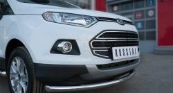 17 399 р. Одинарная защита переднего бампера диаметром 63 мм SLITKOFF Ford EcoSport дорестайлинг (2013-2019)  с доставкой в г. Краснодар. Увеличить фотографию 2