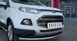 17 399 р. Одинарная защита переднего бампера диаметром 63 мм SLITKOFF Ford EcoSport дорестайлинг (2013-2019)  с доставкой в г. Краснодар. Увеличить фотографию 3