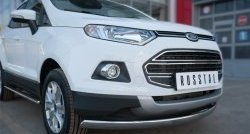 15 649 р. Защита переднего бампера (Ø75х42 мм, нержавейка) Russtal Ford EcoSport дорестайлинг (2013-2019)  с доставкой в г. Краснодар. Увеличить фотографию 2