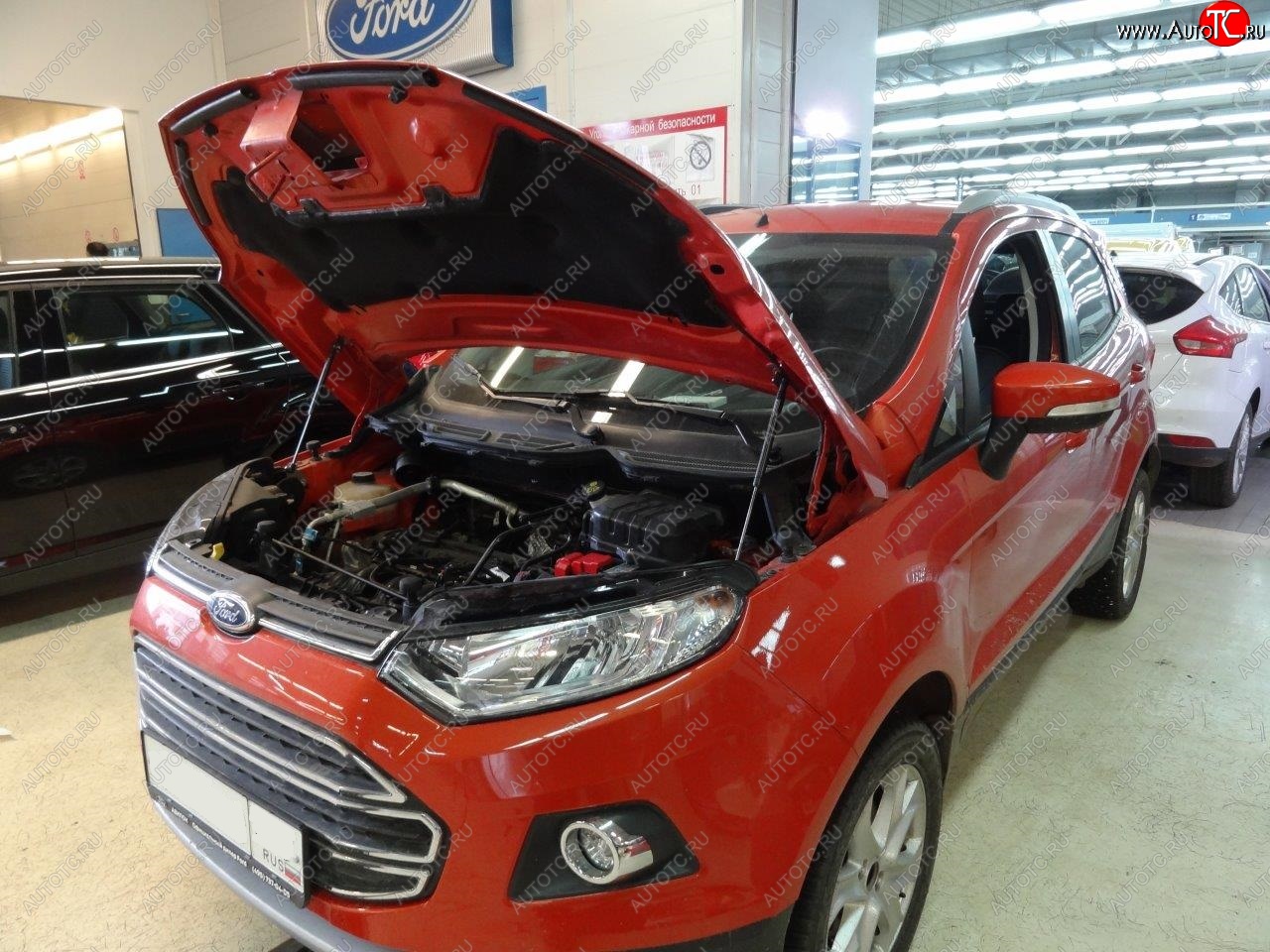 2 299 р. Упоры капота Russtal Ford EcoSport дорестайлинг (2013-2019)  с доставкой в г. Краснодар