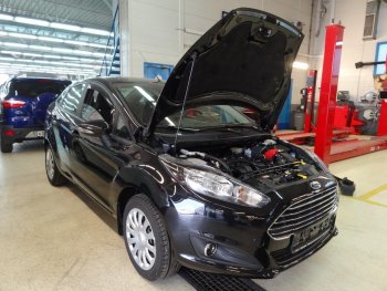 Упор капота Russtal Ford Fiesta 6 хэтчбэк 5 дв. рестайлинг (2012-2019)