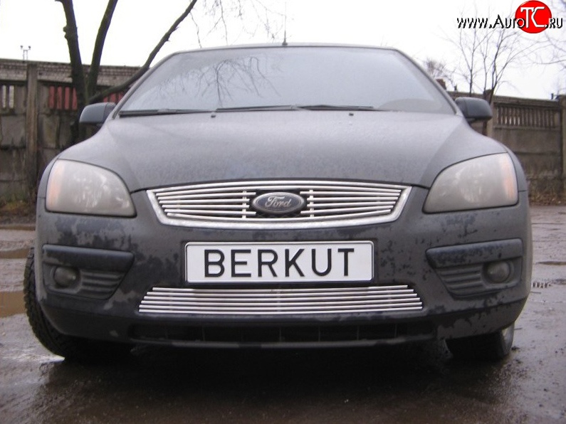 4 999 р. Декоративная вставка решетки радиатора Berkut Ford Focus 2 хэтчбэк 3 дв. дорестайлинг (2004-2007)  с доставкой в г. Краснодар