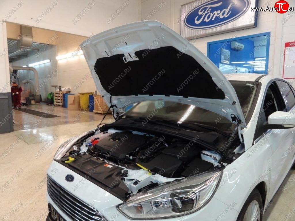 2 199 р. Газовые упоры капота Berkut Ford Focus 3 седан дорестайлинг (2011-2015)  с доставкой в г. Краснодар