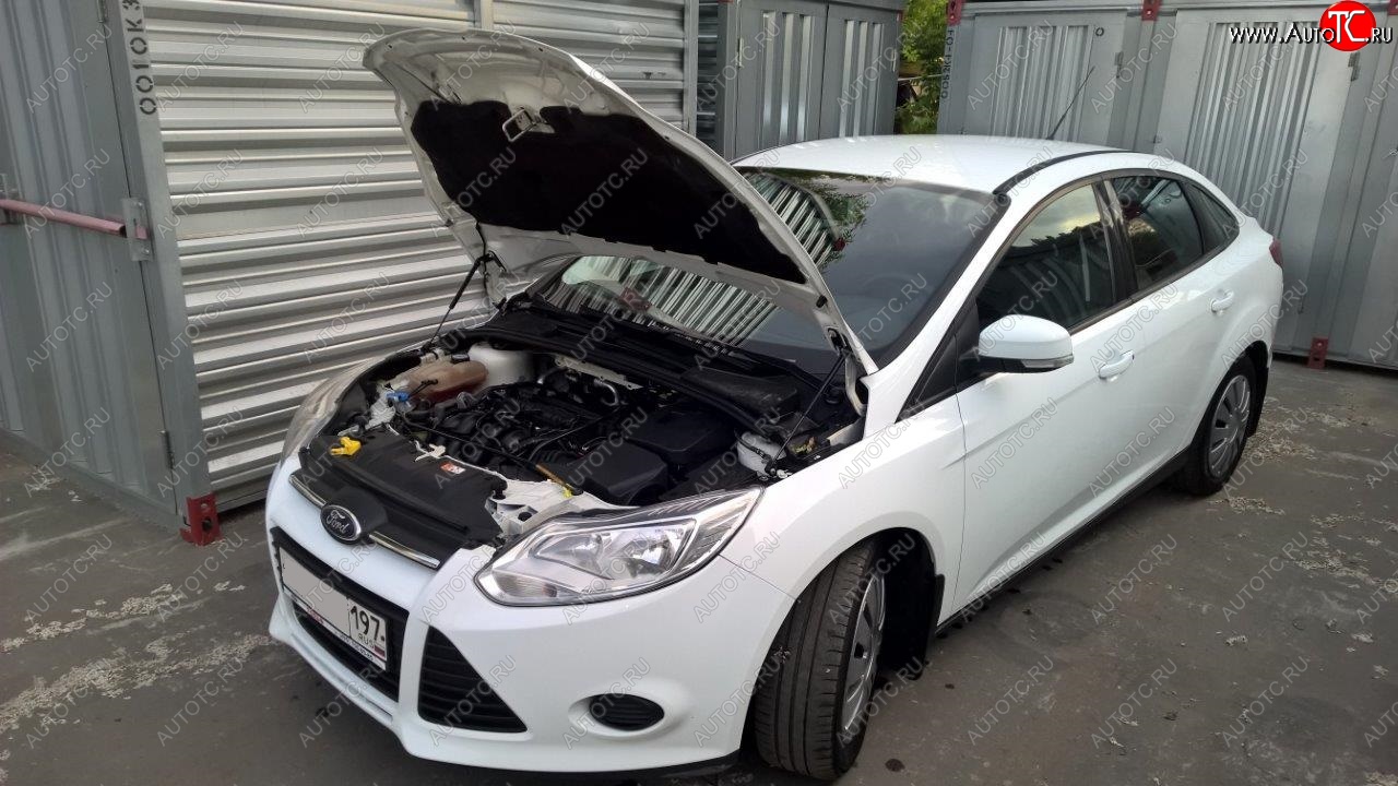 3 капота. Упор капота Форд фокус 3. Упор для капота Ford Focus 3. Капот Ford Focus 3. Упоры капота Ford Focus 3 (2011-н.в.).