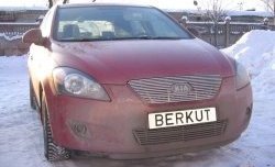 Декоративная вставка решетки радиатора Berkut KIA Ceed 1 ED дорестайлинг, хэтчбэк 5 дв. (2006-2010)