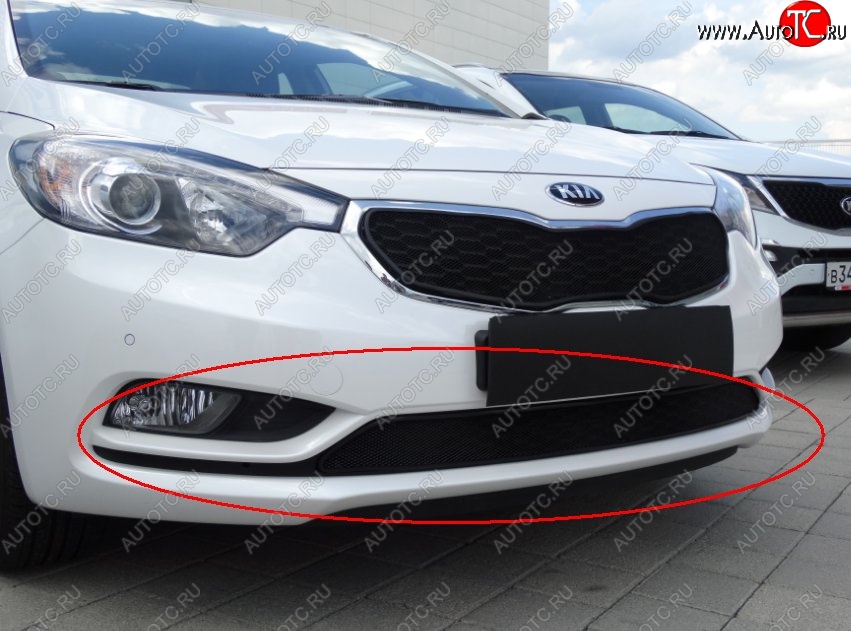 1 469 р. Нижняя защитная сетка на бампер Russtal (черная) KIA Cerato 3 YD дорестайлинг седан (2013-2016)  с доставкой в г. Краснодар