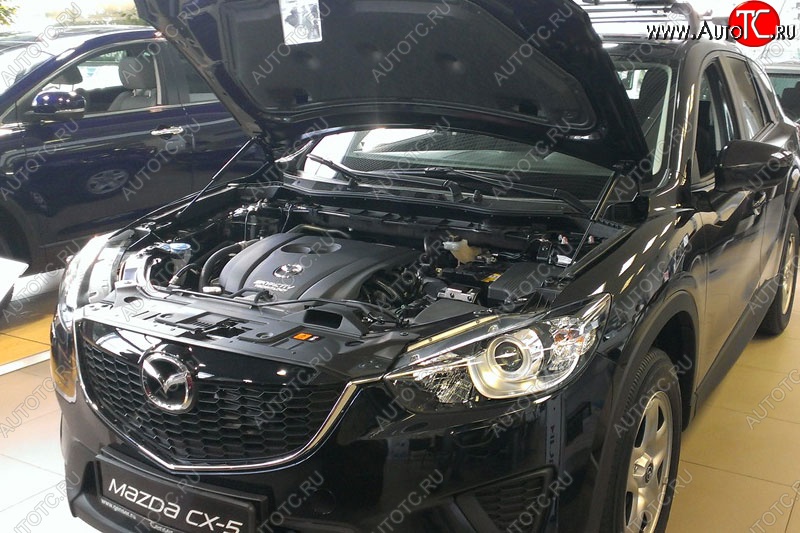 2 199 р. Газовые упоры капота Berkut Mazda CX-5 KE рестайлинг (2015-2017)  с доставкой в г. Краснодар