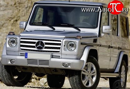 19 199 р. Решётка радиатора AMG Mercedes-Benz G class W463 5 дв. дорестайлинг (1989-1994) (Неокрашенная)  с доставкой в г. Краснодар