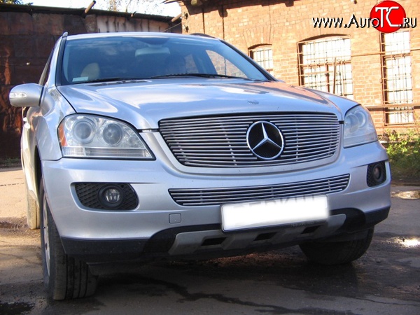 9 399 р. Декоративная вставка решетки радиатора Berkut Mercedes-Benz ML class W164 дорестайлинг (2005-2008)  с доставкой в г. Краснодар