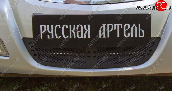 1 769 р. Защитная сетка решетки переднего бампера РА Nissan Almera Classic седан B10 (2006-2013)  с доставкой в г. Краснодар