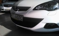 1 469 р. Сетка на бампер GTC Russtal (черная)  Opel Astra  J (2009-2012) хэтчбек 5 дв. дорестайлинг  с доставкой в г. Краснодар. Увеличить фотографию 3