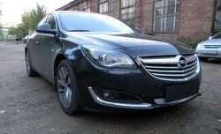 1 539 р. Сетка на бампер (рестайлинг) Russtal (хром)  Opel Insignia  A (2008-2017) дорестайлинг седан, рестайлинг седан, универсал рестайлинг  с доставкой в г. Краснодар. Увеличить фотографию 2