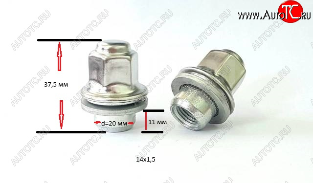 429 р. Колесная гайка (прессшайба, с нерж. колпачком, 37.5 мм) Вектор M14x1.5    с доставкой в г. Краснодар