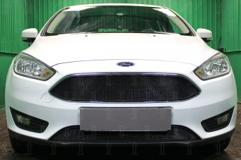 Защитная сетка в бампер (низ, ячейка 3х7 мм) Alfeco Стандарт Ford Focus 3 седан рестайлинг (2014-2019) ()