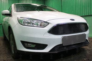 2 769 р. Защитная сетка в бампер (низ, ячейка 3х7 мм) Alfeco Стандарт  Ford Focus  3 (2014-2019) седан рестайлинг, универсал рестайлинг, хэтчбэк рестайлинг (Чёрная)  с доставкой в г. Краснодар. Увеличить фотографию 2