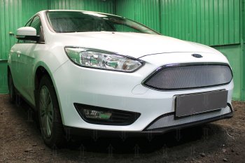 2 899 р. Защитная сетка в бампер (низ, ячейка 3х7 мм) Alfeco Стандарт  Ford Focus  3 (2014-2019) седан рестайлинг, универсал рестайлинг, хэтчбэк рестайлинг (Хром)  с доставкой в г. Краснодар. Увеличить фотографию 2