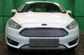 Защитная сетка в бампер (низ, ячейка 3х7 мм) Alfeco Стандарт Ford Focus 3 седан рестайлинг (2014-2019) ()