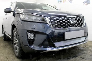 3 199 р. Защитная сетка в бампер (низ, ячейка 3х7 мм) Alfeco Стандарт  KIA Sorento  UM/Prime (2018-2020) рестайлинг (Хром)  с доставкой в г. Краснодар. Увеличить фотографию 4