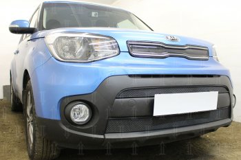 4 649 р. Защитная сетка в бампер (2 части, ячейка 3х7 мм) Alfeco Стандарт  KIA Soul  PS (2017-2019) рестайлинг (Чёрная)  с доставкой в г. Краснодар. Увеличить фотографию 2