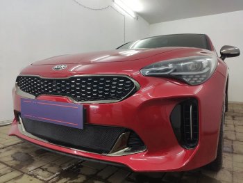 3 199 р. Защитная сетка в бампер (низ, ячейка 3х7 мм) Alfeco Стандарт  KIA Stinger (2017-2024) (Чёрная)  с доставкой в г. Краснодар. Увеличить фотографию 4