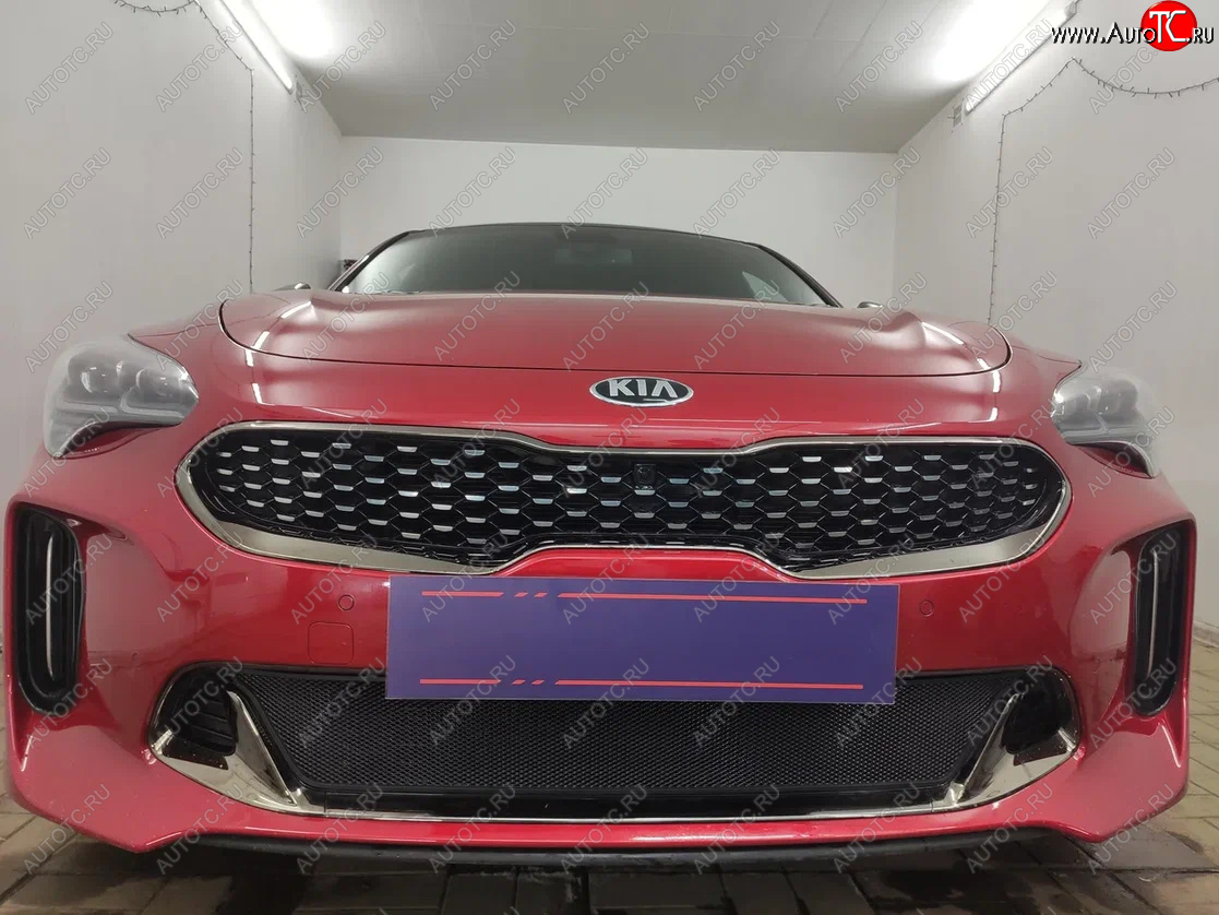 3 199 р. Защитная сетка в бампер (низ, ячейка 3х7 мм) Alfeco Стандарт  KIA Stinger (2017-2024) (Чёрная)  с доставкой в г. Краснодар