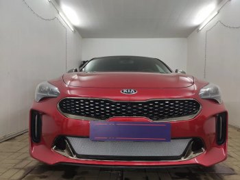 Защитная сетка в бампер (низ, ячейка 3х7 мм) Alfeco Стандарт KIA (КИА) Stinger (Стингер) (2017-2024)  (Хром)