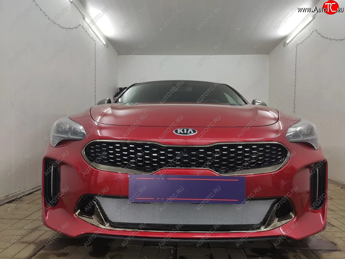 3 399 р. Защитная сетка в бампер (низ, ячейка 3х7 мм) Alfeco Стандарт  KIA Stinger (2017-2024) (Хром)  с доставкой в г. Краснодар