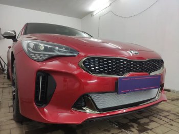 3 399 р. Защитная сетка в бампер (низ, ячейка 3х7 мм) Alfeco Стандарт  KIA Stinger (2017-2024) (Хром)  с доставкой в г. Краснодар. Увеличить фотографию 3