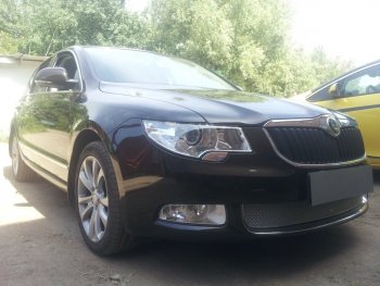 4 299 р. Защитная сетка в бампер (низ, ячейка 4х10 мм) Стрелка11 Премиум Skoda Superb B6 (3T5) универсал доресталийнг (2009-2013) (Хром)  с доставкой в г. Краснодар. Увеличить фотографию 2