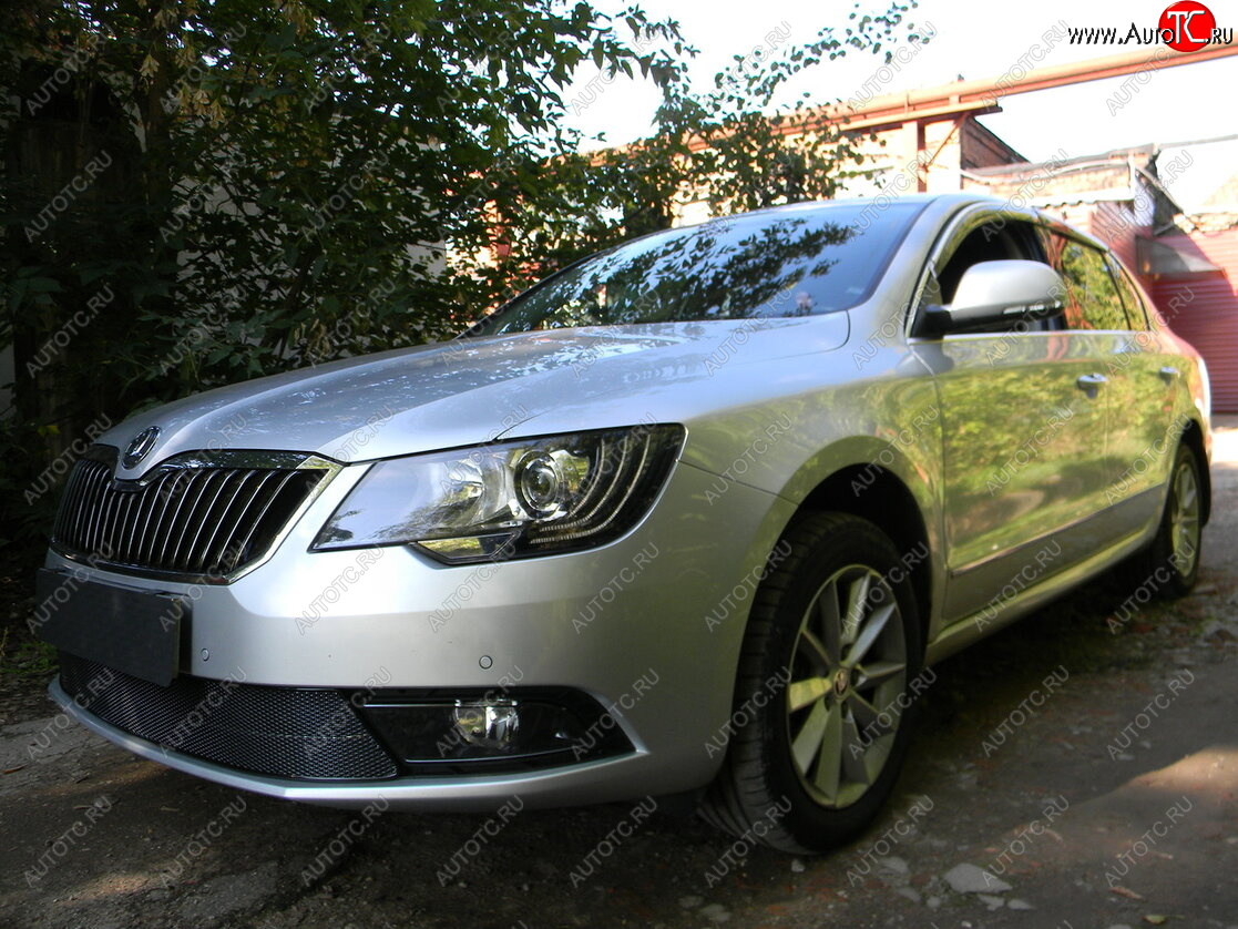 4 599 р. Защитная сетка в бампер (низ, ячейка 4х10 мм) Стрелка11 Премиум Skoda Superb (B6) 3T лифтбэк рестайлинг (2013-2015) (Чёрная)  с доставкой в г. Краснодар