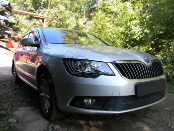 4 599 р. Защитная сетка в бампер (низ, ячейка 4х10 мм) Стрелка11 Премиум Skoda Superb (B6) 3T лифтбэк рестайлинг (2013-2015) (Чёрная)  с доставкой в г. Краснодар. Увеличить фотографию 3