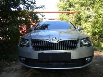 4 599 р. Защитная сетка в бампер (низ, ячейка 4х10 мм) Стрелка11 Премиум Skoda Superb (B6) 3T лифтбэк рестайлинг (2013-2015) (Чёрная)  с доставкой в г. Краснодар. Увеличить фотографию 2