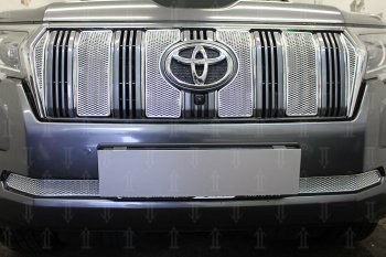 4 549 р. Защитная сетка в бампер (низ, ячейка 4х10 мм) Стрелка11 Премиум Toyota Land Cruiser Prado J150 3-ий рестайлинг (2020-2025) (Хром)  с доставкой в г. Краснодар. Увеличить фотографию 1