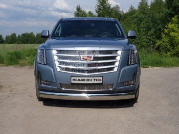 Защита переднего бампера нижняя овальная 120х60 мм ТСС Тюнинг Cadillac Escalade GMTK2 джип 5 дв. короткая база (2015-2020) ()