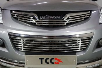 Нижняя декоративная вставка в бампер ТСС Тюнинг Haval (Хавал) H5 (Н5) (2020-2023) рестайлинг ()