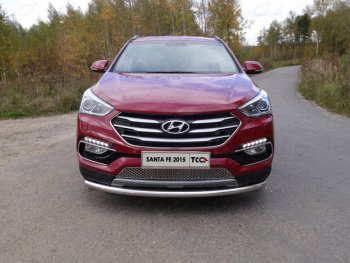 Защита переднего бампера нижняя d60,3 мм ТСС Тюнинг Hyundai (Хюндаи) Santa Fe (Санта)  DM (2015-2019) DM рестайлинг