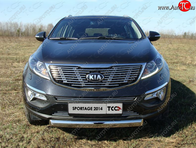 3 099 р. Средняя декоративная вставка в бампер ТСС Тюнинг  KIA Sportage  3 SL (2014-2016) рестайлинг (d 12 мм)  с доставкой в г. Краснодар