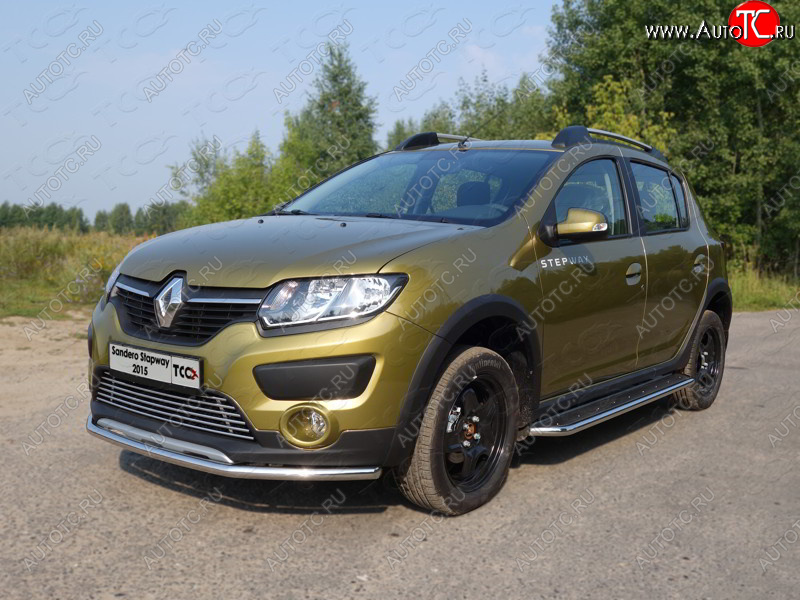 12 299 р. Защита переднего бампера нижняя d42,4 мм ТСС Тюнинг  Renault Sandero Stepway  (B8) (2014-2018) дорестайлинг (нержавейка)  с доставкой в г. Краснодар