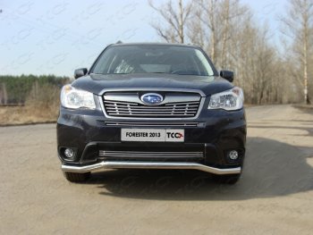 Средняя декоративная вставка в бампер ТСС Тюнинг Subaru (Субару) Forester (Форестер)  SJ (2012-2016) SJ дорестайлинг ()