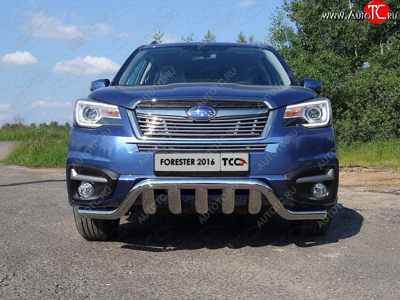 3 099 р. Средняя декоративная вставка в бампер ТСС Тюнинг  Subaru Forester  SJ (2016-2019) рестайлинг (d 12 мм)  с доставкой в г. Краснодар