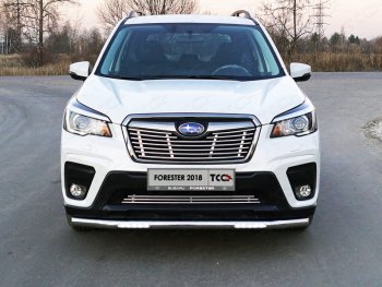 39 749 р. Защита переднего бампера нижняя с ДХО 60,3 мм ТСС Тюнинг Subaru Forester SK/S14 дорестайлинг (2018-2021) (нержавейка)  с доставкой в г. Краснодар. Увеличить фотографию 1