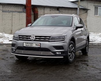 Защита переднего бампера нижняя d42,4 мм ТСС Тюнинг Volkswagen (Волксваген) Tiguan (Тигуан)  Mk2 (2016-2020) Mk2 дорестайлинг  (нержавейка)