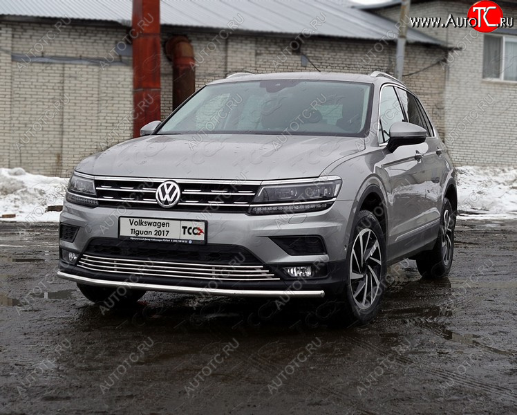 16 999 р. Защита переднего бампера нижняя d42,4 мм ТСС Тюнинг Volkswagen Tiguan Mk2 дорестайлинг (2016-2020) (нержавейка)  с доставкой в г. Краснодар