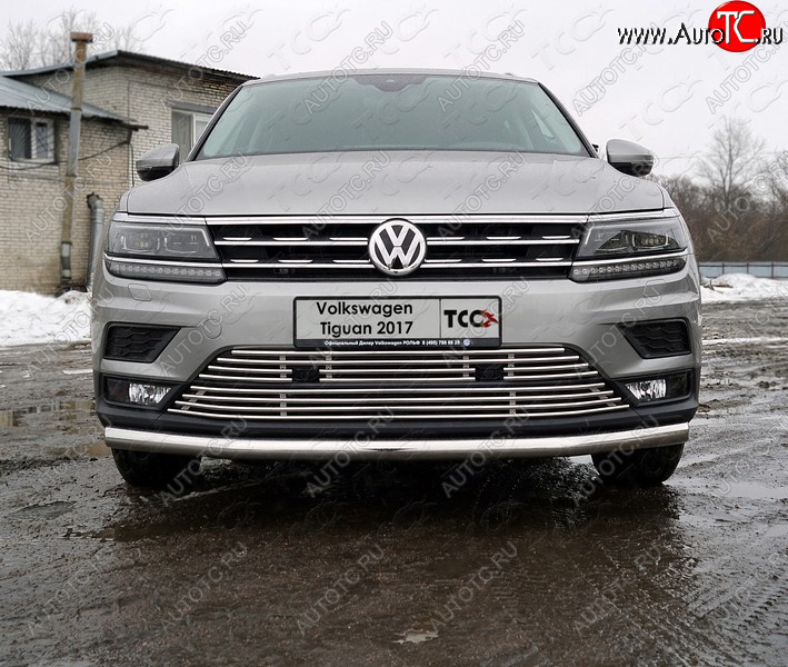 6 499 р. Верхняя декоративная вставка решетки радиатора ТСС Тюнинг Volkswagen Tiguan Mk2 дорестайлинг (2016-2020) (d 12 мм)  с доставкой в г. Краснодар