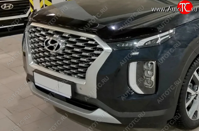 3 169 р. Дефлектор капота SIM Hyundai Palisade LX2 (2018-2022)  с доставкой в г. Краснодар