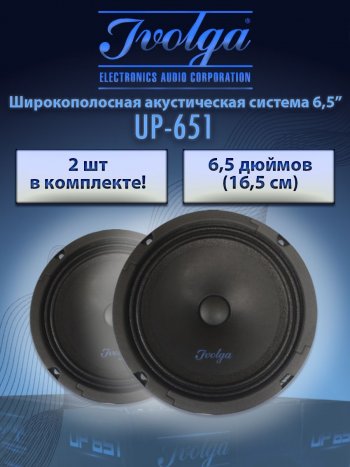 2 479 р. Широкополосная акустическая система Ivolga UP-651 BYD Song Plus дорестайлинг (2020-2024)  с доставкой в г. Краснодар. Увеличить фотографию 1