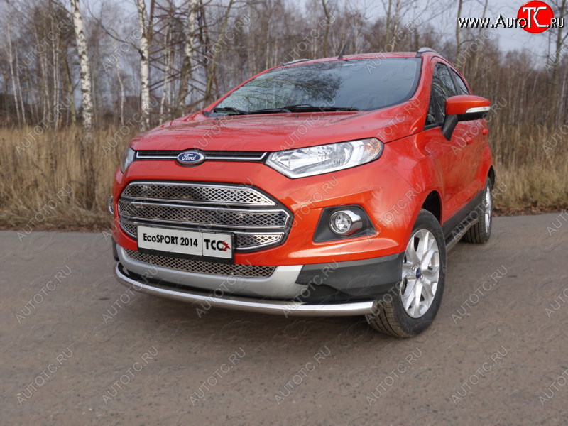 12 999 р. Защита переднего бампера нижняя d60,3 мм ТСС Тюнинг Ford EcoSport дорестайлинг (2013-2019) (нержавейка)  с доставкой в г. Краснодар